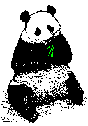 panda